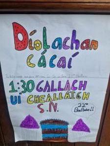 Díolachan Cáca